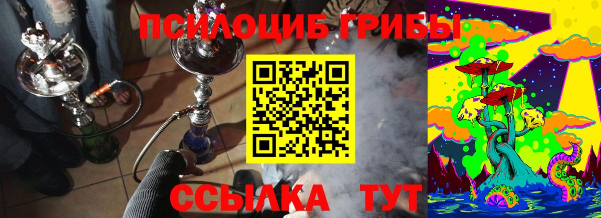 Жуковский  Галлюциногенные грибы GOLDEN TEACHER  Вход с VPN 